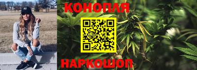шишки Краснодар