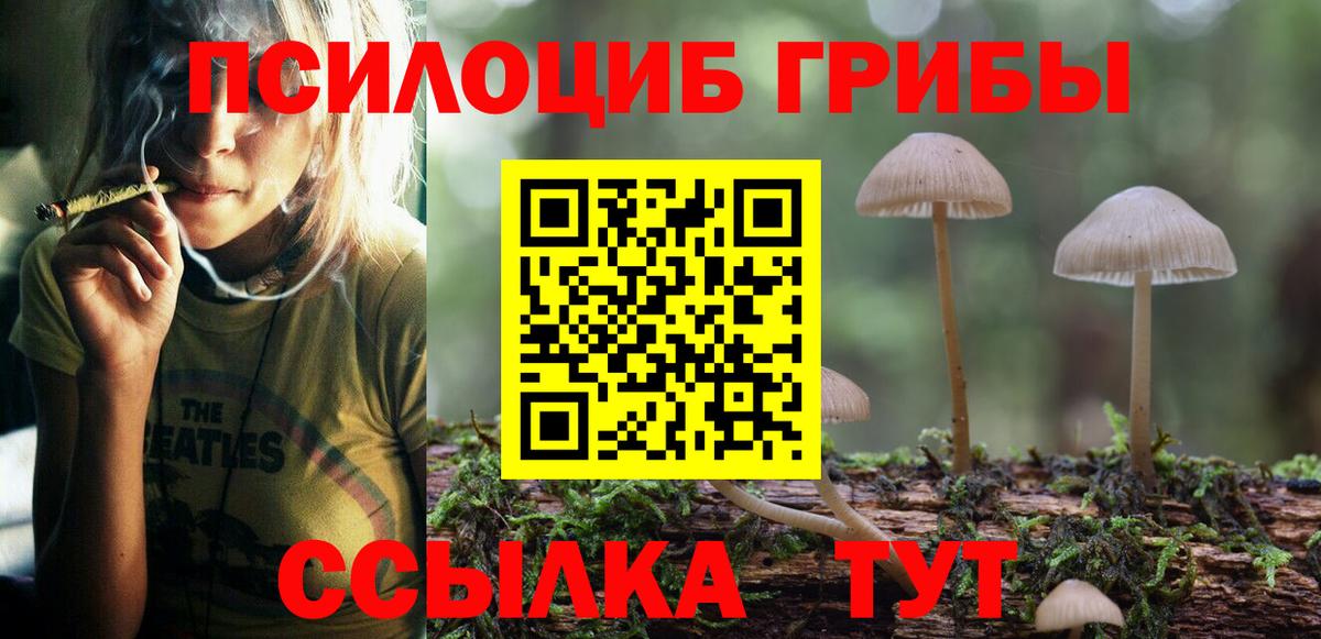 Галлюциногенные грибы MAGIC MUSHROOMS Арзамас