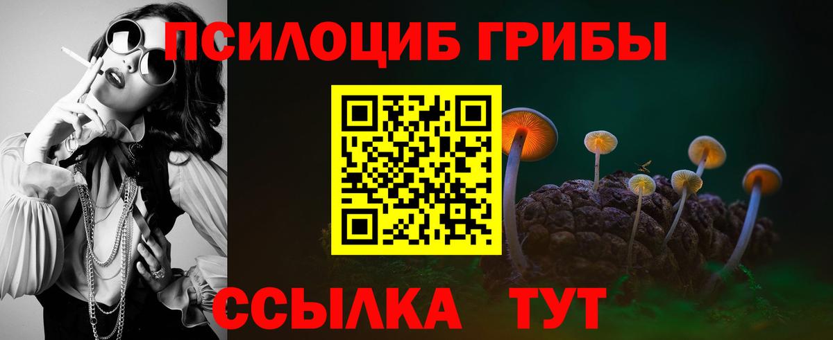 Псилоцибиновые грибы Magic Shrooms  Вход с VPN  Арзамас 